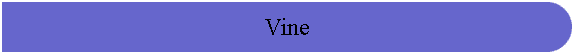 Vine